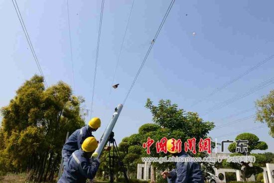 東莞供電局“激光大炮”問世 可帶電清除架空線路飄掛物 東莞供電局“激光大炮”問世 可帶電清除架空線路飄掛物