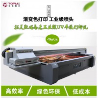 南京供應(yīng)理光G5壁畫UV打印機 3D裝飾油畫UV打印機