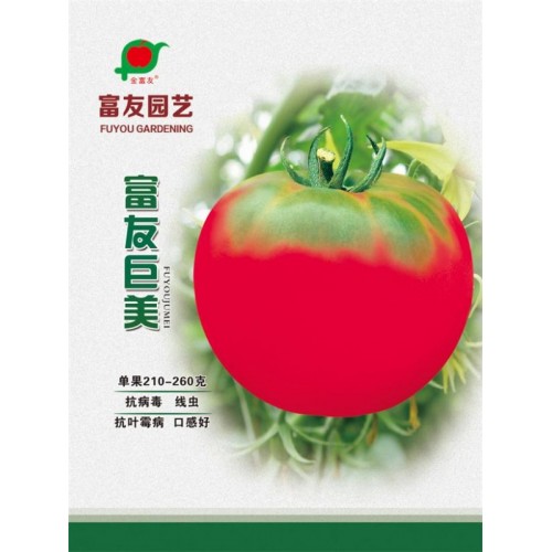 沈陽黃瓜種子零售-沈陽蔬菜種子專業(yè)供應商
